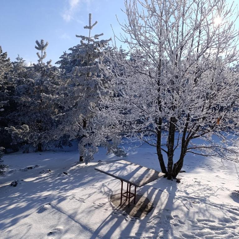 Vikendica Mladenović - Kuća sa 4 Spavaće Sobe - 40
