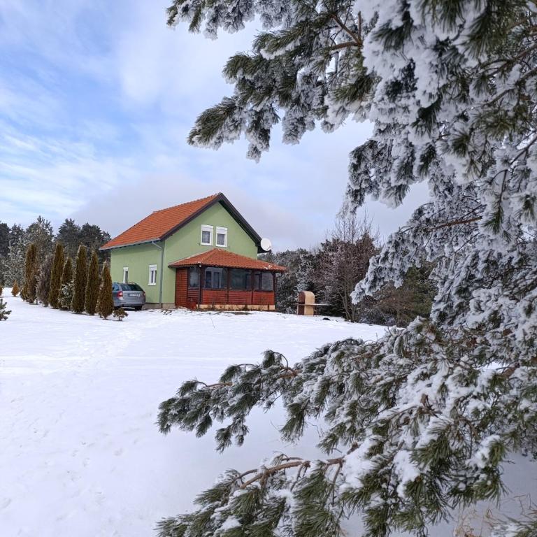 Vikendica Mladenović - Kuća sa 4 Spavaće Sobe - 47