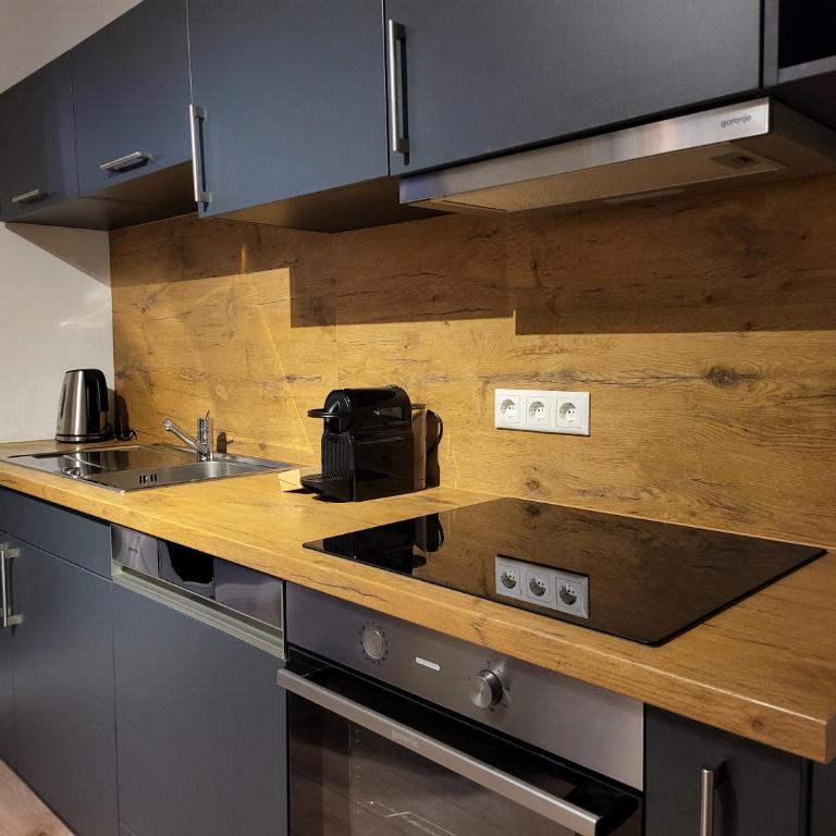 SiOUX stilvolle Designapartments mit traumhaftem Ausblick - Appartamento con 4 Camere da Letto e Balcone - 9