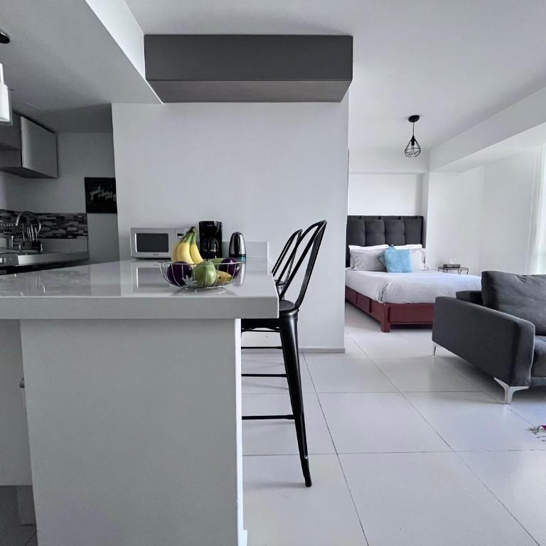 C205 - 1BR - 1BTh - Apartamento de 1 dormitorio - 1