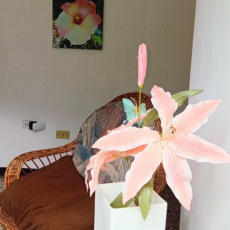 Executive type apartment of 35 meters Sebucan Ccs - One-Bedroom Apartment - 32