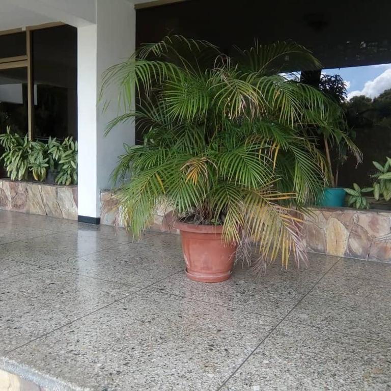 Executive type apartment of 35 meters Sebucan Ccs - One-Bedroom Apartment - 33
