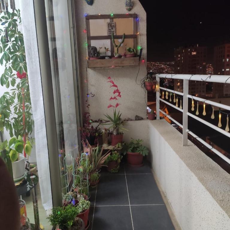 Departamento Patty - Apartamento de 2 dormitorios - 11