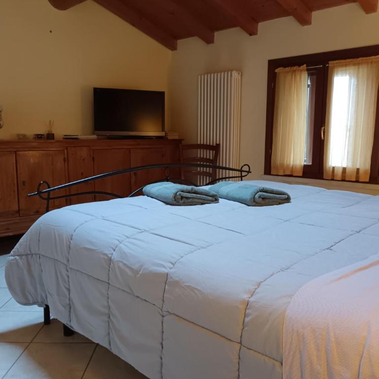 Casa Giulia - Valeggio sul Mincio - Appartamento Standard - 13