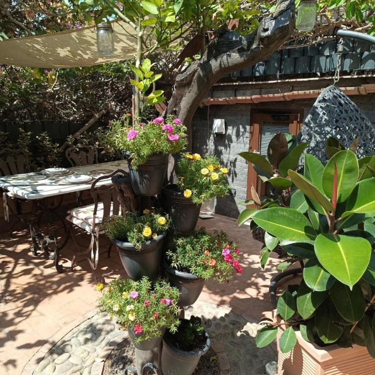 Villetta Centro Storico Cefalù "Il piccolo Amore" - Villa con 1 Camera da Letto - 16