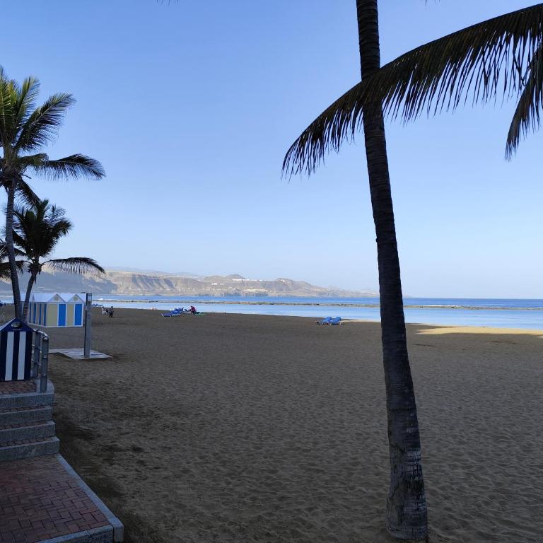 Piso cerca de la playa - Apartamento Estándar de 2 dormitorios - 17