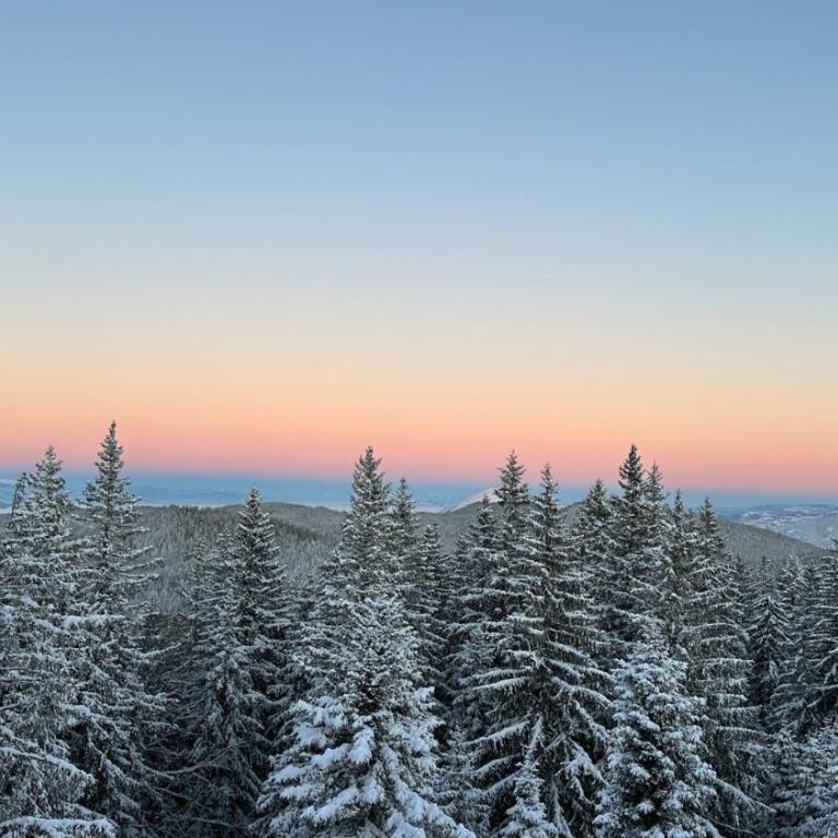 Aparthotel Zlatni Javor - Apartman 511 - One-Bedroom Apartment - 6