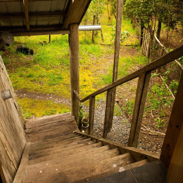 Unique Tree House Hideaway in Nature - Two-Bedroom House - 55