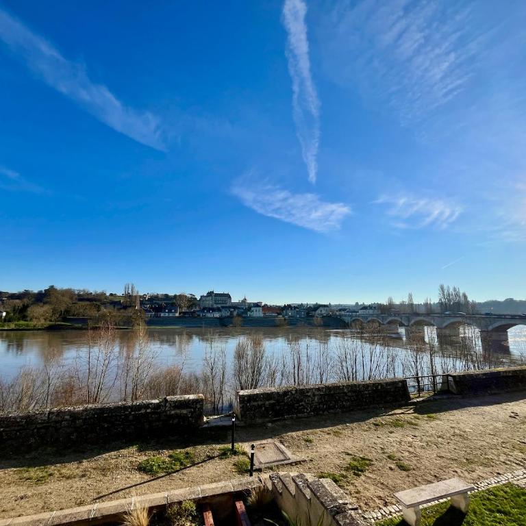 T2 climatisé face Loire et château le 4-4 - Appartement 1 Chambre - 5
