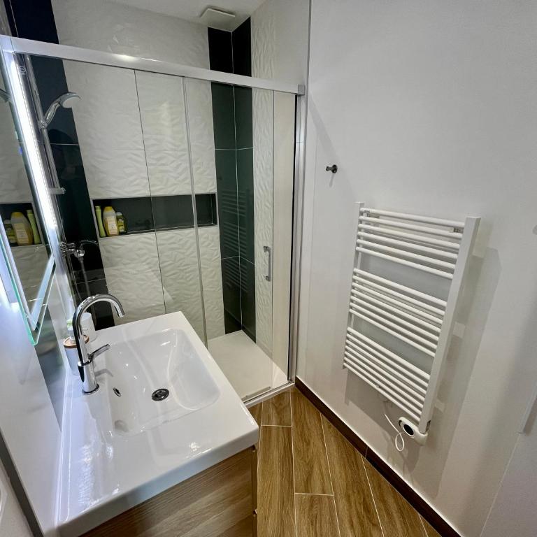 T2 climatisé face Loire et château le 4-4 - Appartement 1 Chambre - 14