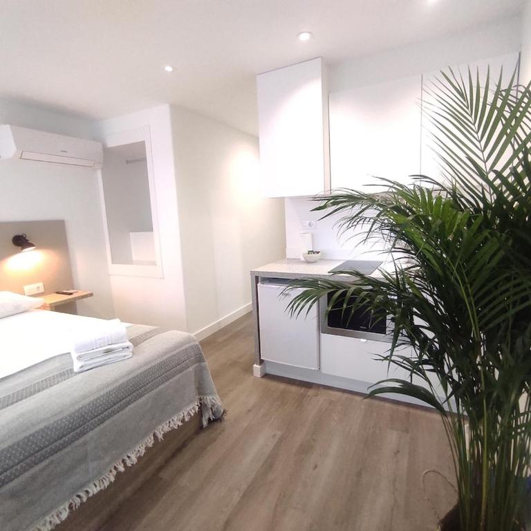 L1 - Disfruta en Os Vinos a dos pasos de la catedral - Apartamento de 1 dormitorio - 20