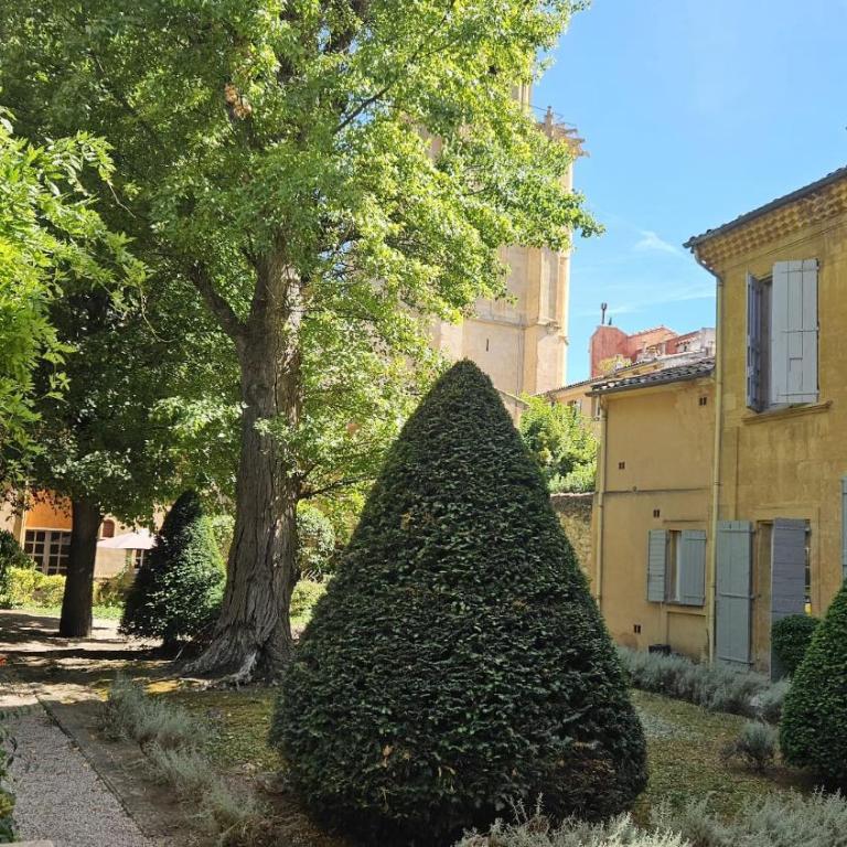 Le Jardinet de la Cathédrale - Appartement 1 Chambre - 12