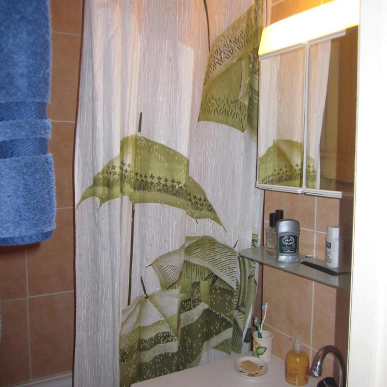 F2 Grand Confort en face du télécabine - Appartement 2 Chambres - 13