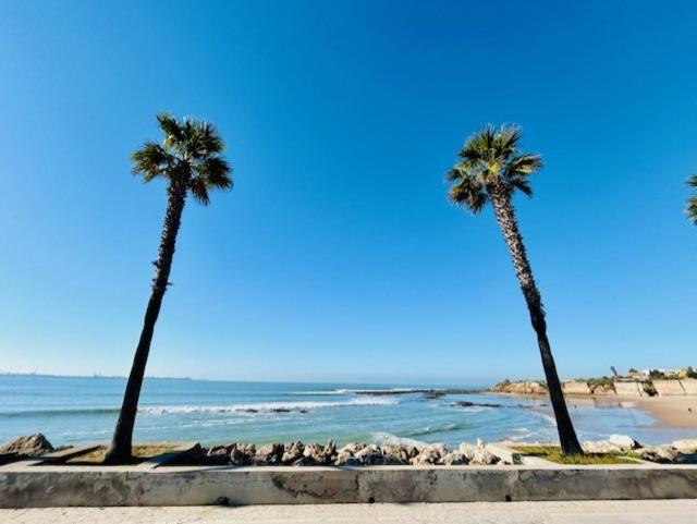 GATU La Murallita en Puerto Sherry - Apartamento de 2 dormitorios con terraza - 6