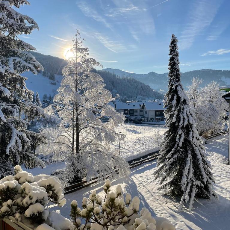 Ferienwohnung Gipfelblick - Apartment - 21