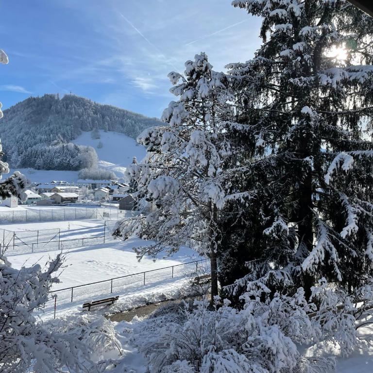 Ferienwohnung Gipfelblick - Apartment - 22