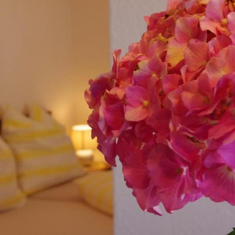 Ferienhaus Kopp - Apartment mit 2 Schlafzimmern und Dusche - 8