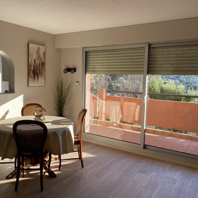 Tres beau 2 p vue mer terrasse - Appartement 1 Chambre - 6