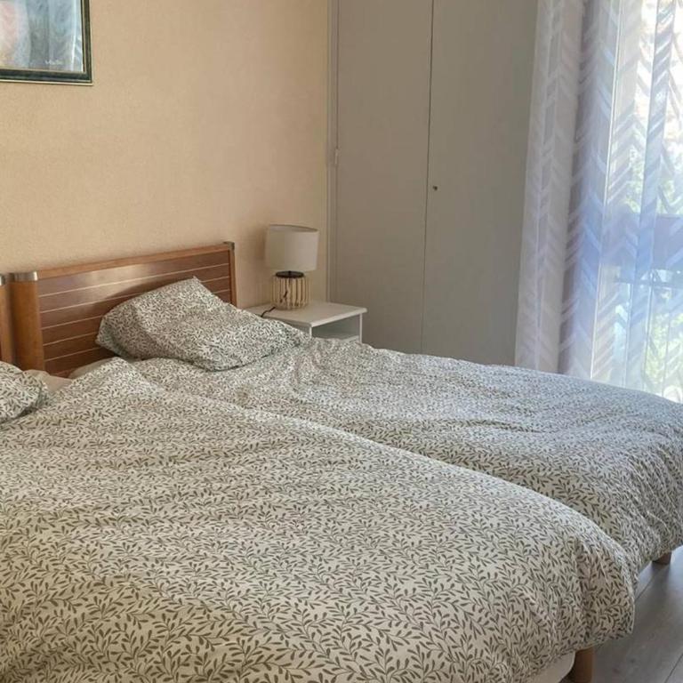F2 avec parking, terrasse & wifi à Amélie-les-Bains, animaux acceptés - Appartamento con 1 Camera da Letto - 5