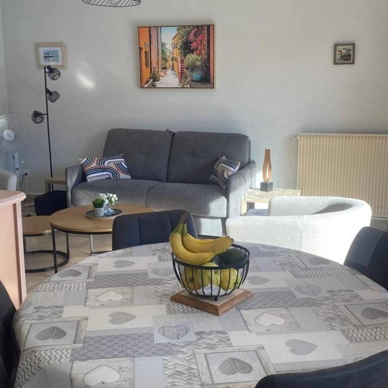 F2 avec parking, terrasse & wifi à Amélie-les-Bains, animaux acceptés - Appartamento con 1 Camera da Letto - 7