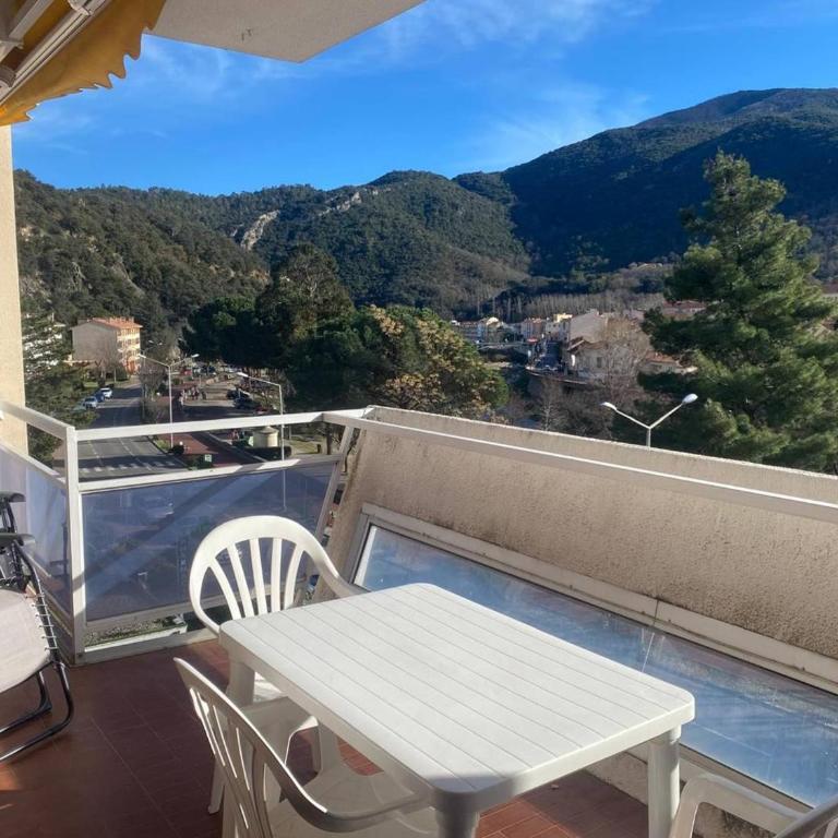 F2 avec parking, terrasse & wifi à Amélie-les-Bains, animaux acceptés - Appartamento con 1 Camera da Letto - 10