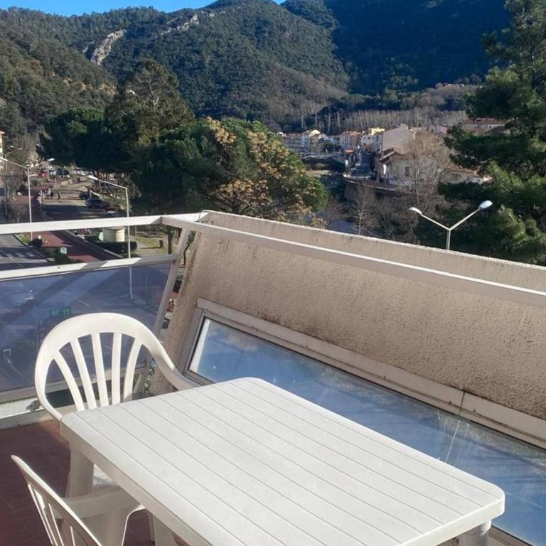 F2 avec parking, terrasse & wifi à Amélie-les-Bains, animaux acceptés - Appartamento con 1 Camera da Letto - 12