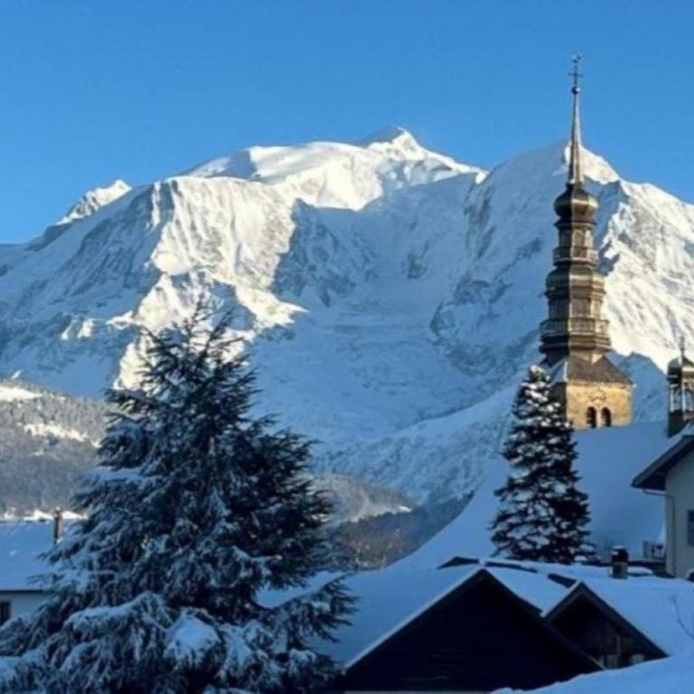 Chalet récent vue panoramique sur le MONT-BLANC - Chalet 3 Chambres - 34