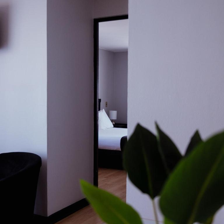 Tempo Rent Apart Hotel - Apartamento de 2 dormitorios - 9