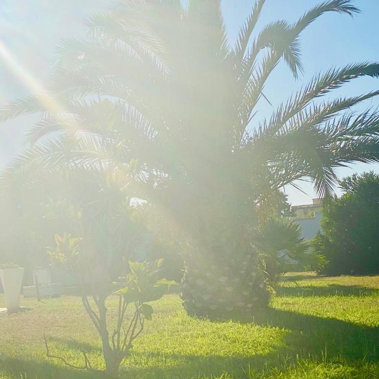 Baia dell Alba - Villa con 2 Camere da Letto - 33