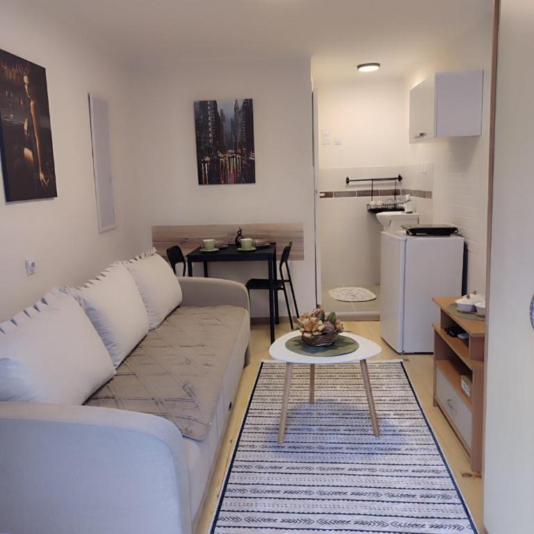 Studio Sanja - One-Bedroom Apartment - 1