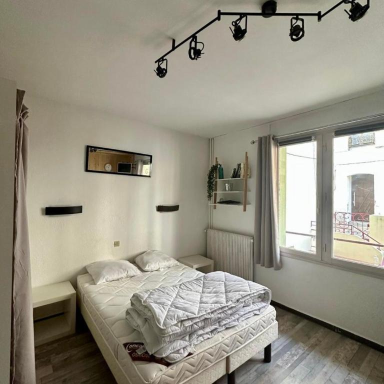 Studio confort Amélie les bains à 2 pas des thermes - Appartement 1 Chambre - 1