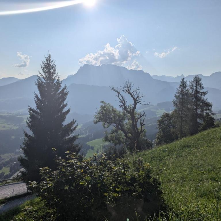 Sonnseit`n Hochmaisalm - Apartment mit 1 Schlafzimmer - 28