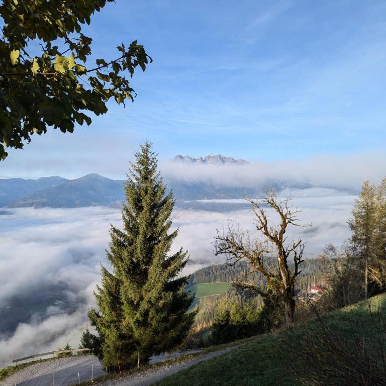 Sonnseit`n Hochmaisalm - Apartment mit 1 Schlafzimmer - 29
