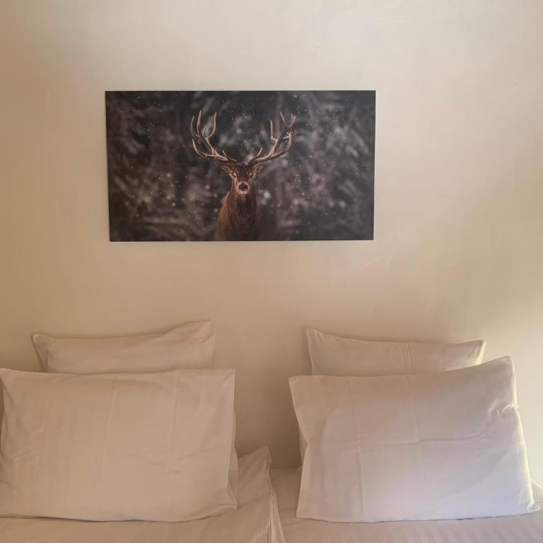 Inspiration Montagne Chambre d'hôtes - Chambre Quadruple - 2