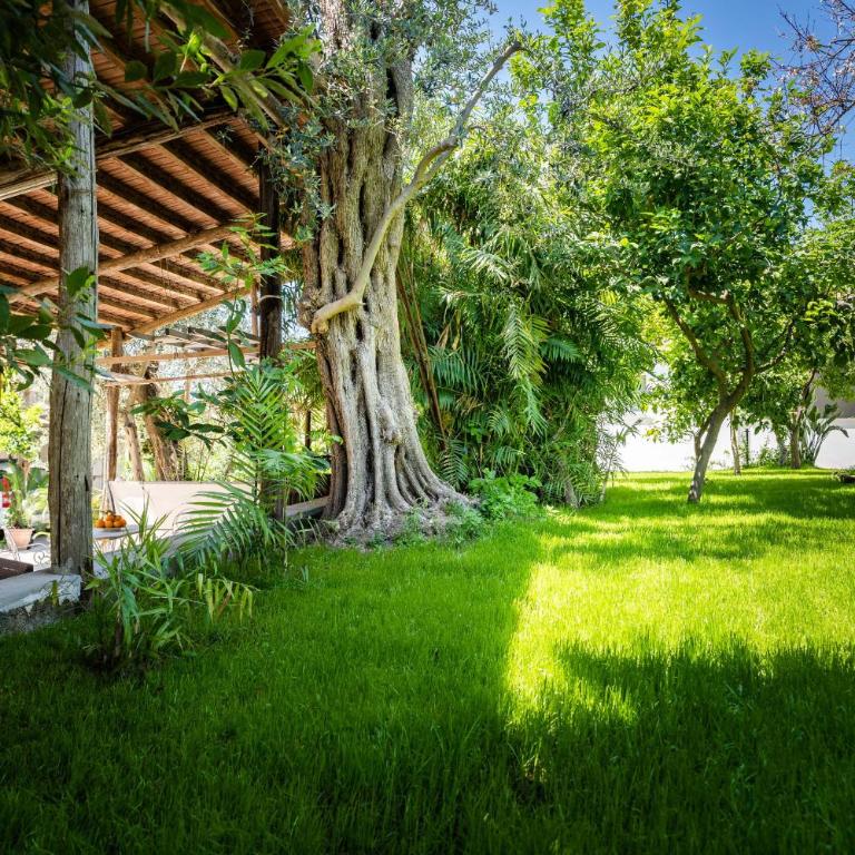 AMORE RENTALS - Villa Alice - Villa con Vista Giardino - 5