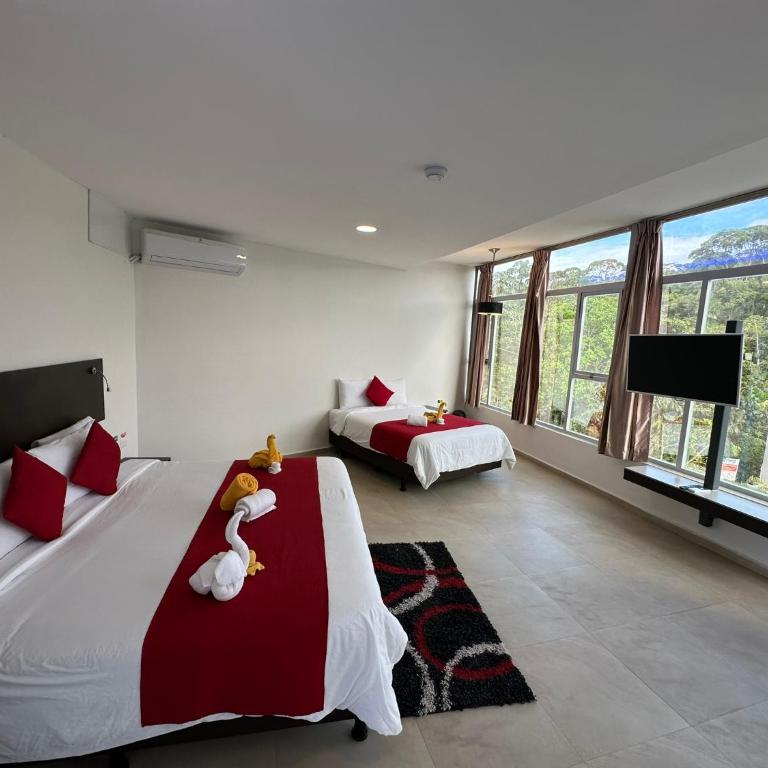 Ecopark Hosteria Puyo - Habitación cuádruple - 2