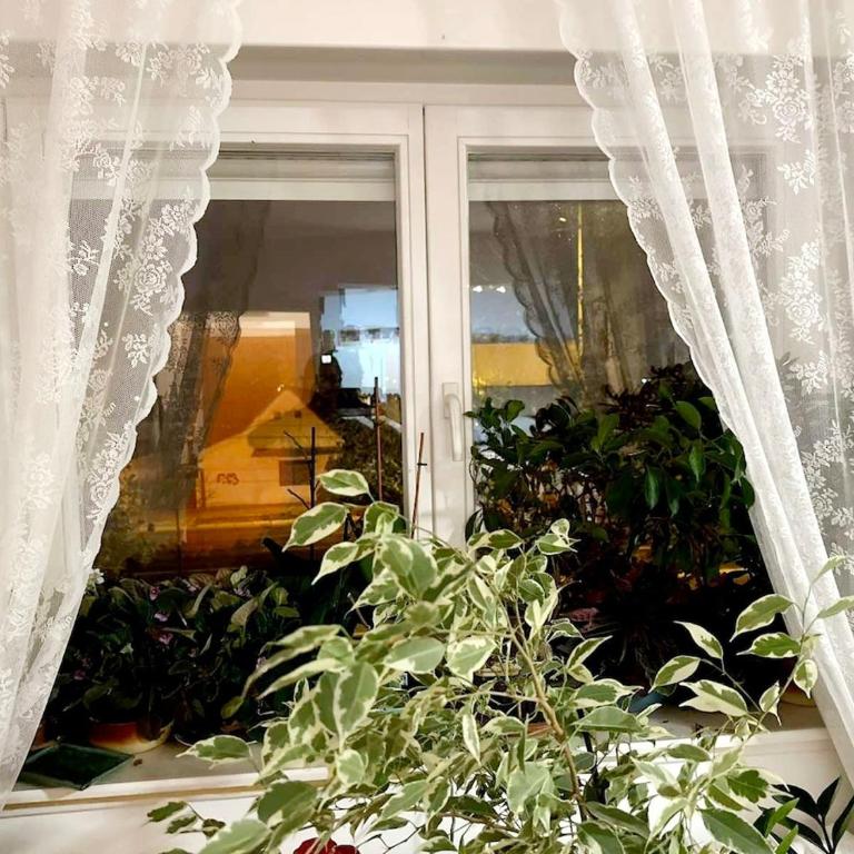 Mara apartment, Belgrade, New belgrade - One-Bedroom Apartment - 3
