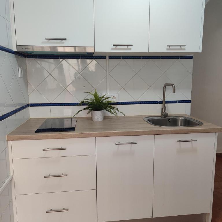 Benavente - Three-Bedroom Apartment - 19