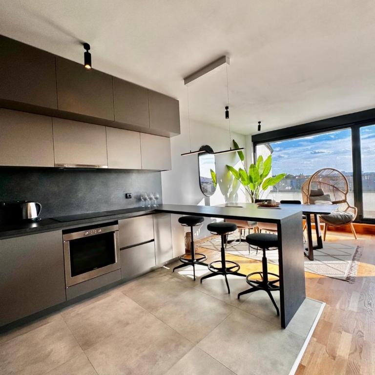 Vracar-Luxury Penthouse - Three-Bedroom Loft Apartment - 28