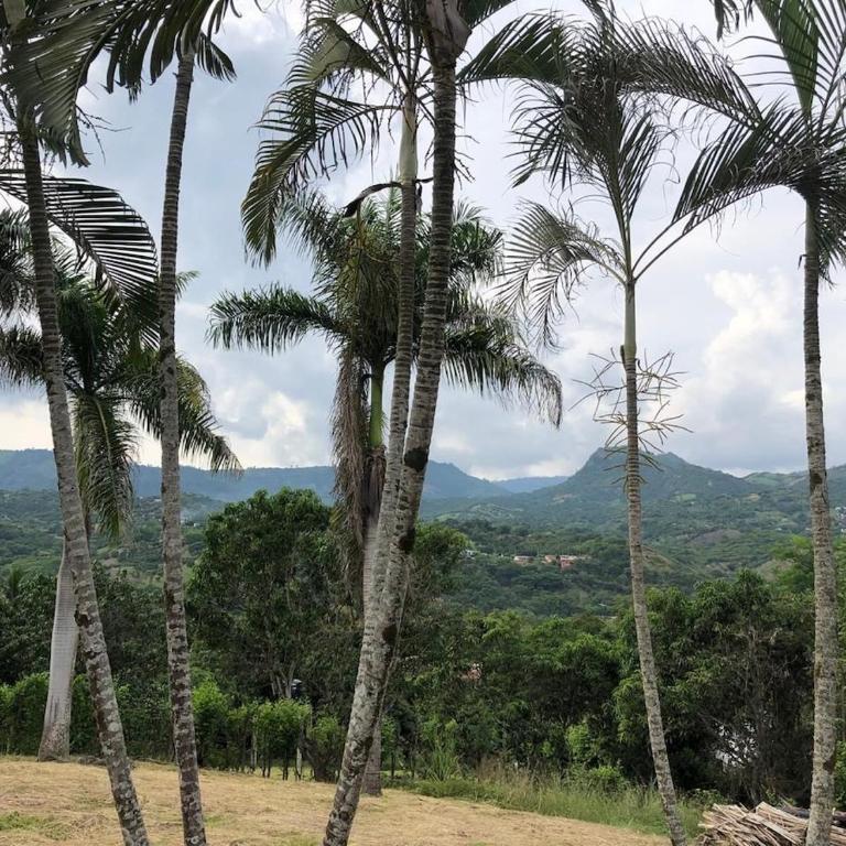 Casa Manatí Chambu San Joaquin - Casa de 3 dormitorios - 22