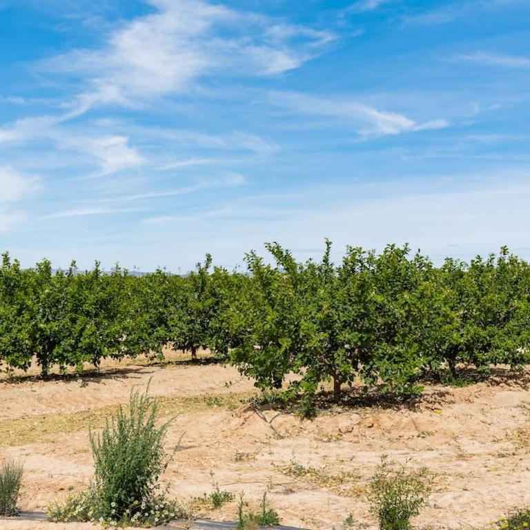 La Terraza Azul - las terrazas de la torre - regio murcia - Apartamento de 2 dormitorios - 37