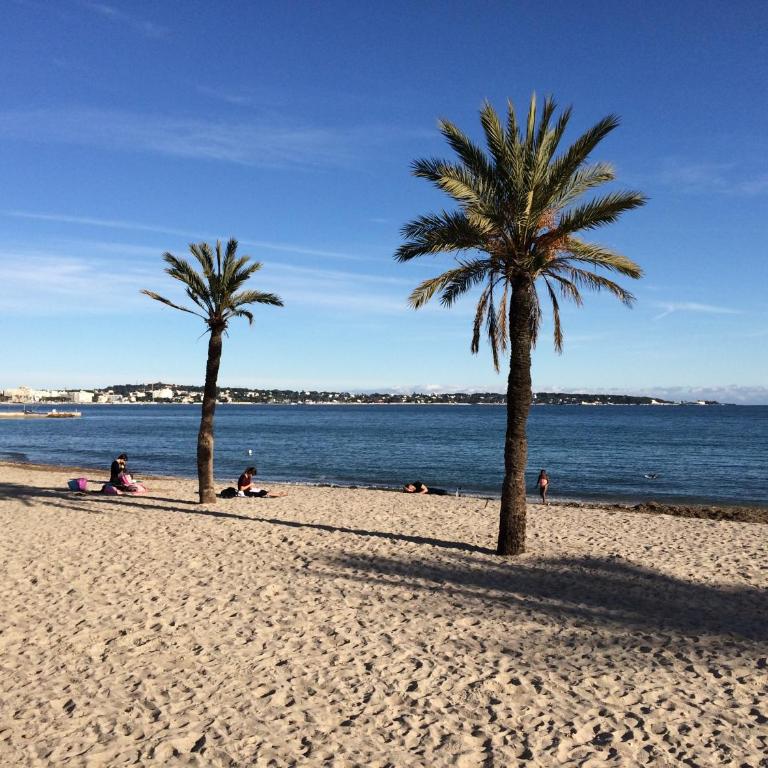 Amazing View Port Golfe-Juan and Garage - Studio - Vue sur Mer - 39
