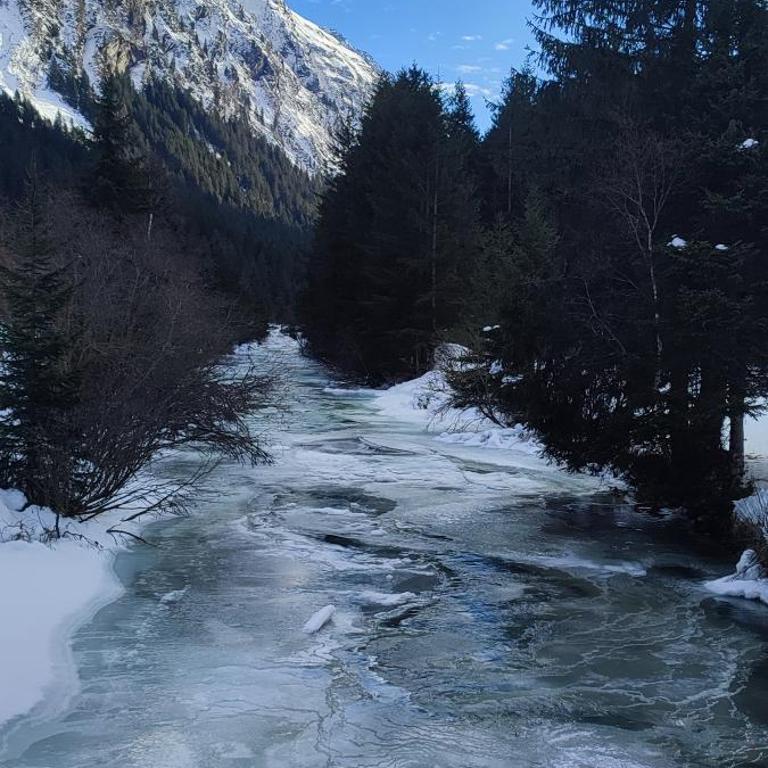 Haus Alpenrose Pitztal-Sommercard-Partner - Apartment - 46