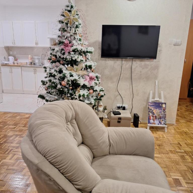 Toni apartment - Apartman sa 2 Spavaće Sobe - 1