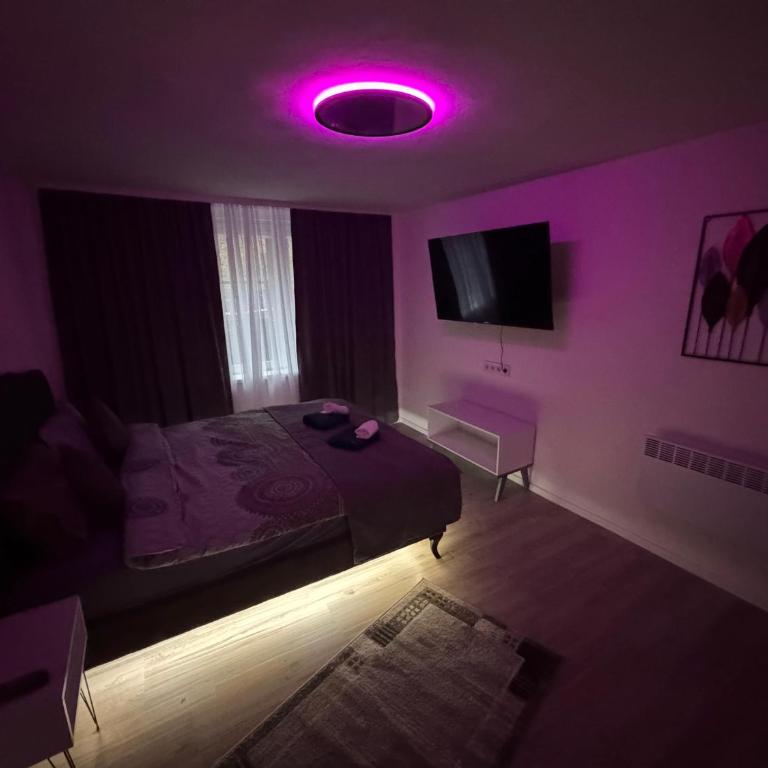 Apartment Reyna - One-Bedroom Apartment - 11