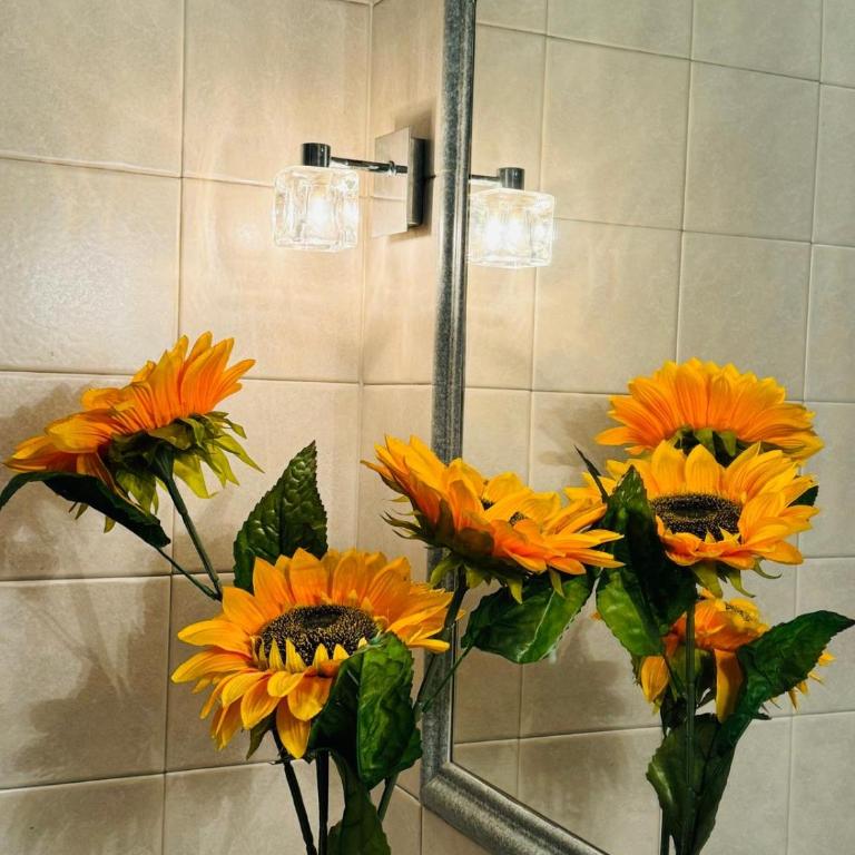 Tatyana appartament - Appartamento Superior con 2 Camere da Letto - 4