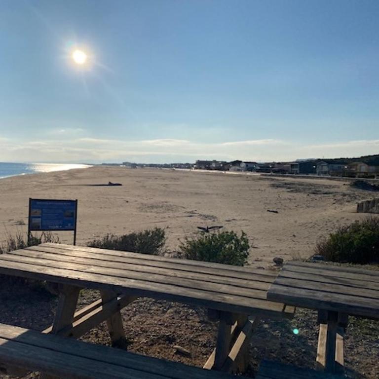 Narbonne-Plage : Appartement T2 Climatisé, 35m², Pieds dans l'eau, 4 Pers. - FR-1-795-50 - Apartment - 22