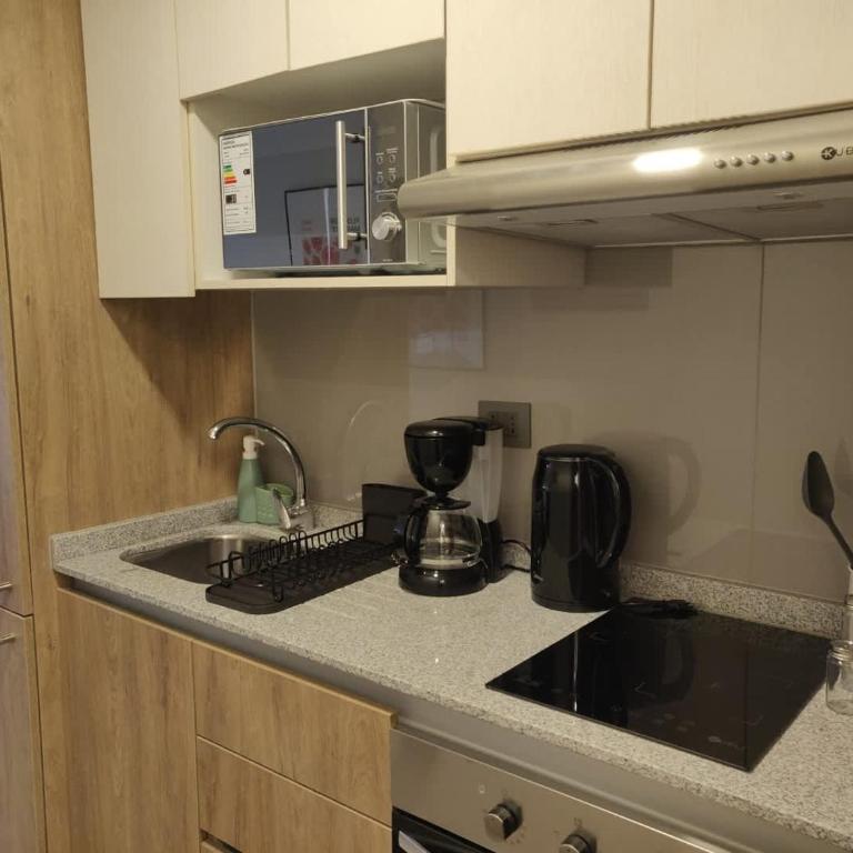 Urban Oasis Studio in Downtown Santiago - Apartamento - 6
