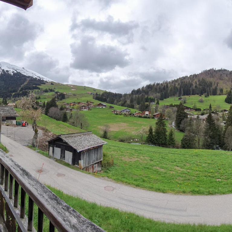 La Clusaz: Demi-chalet cosy 6 pers, cheminée, terrasse, wifi, animaux admis - FR-1-818-27 - Appartamento - 9