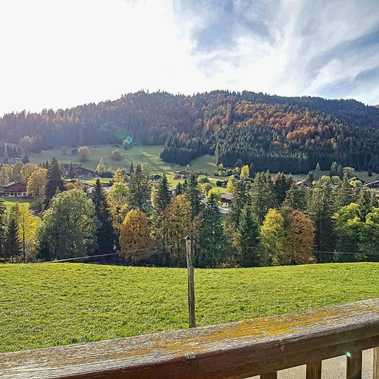 Demi-chalet confortable à La Clusaz - 6 pers, cheminée, wifi, animaux admis - FR-1-818-71 - Apartamento - 13